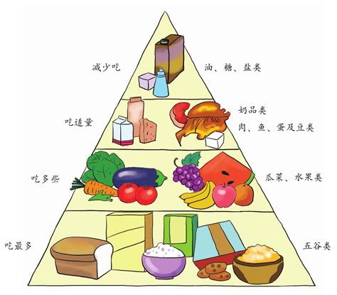 食物金|饮食金字塔